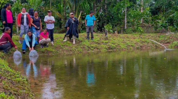 Productores amazónicos reciben alevines para fortalecer la piscicultura en Napo