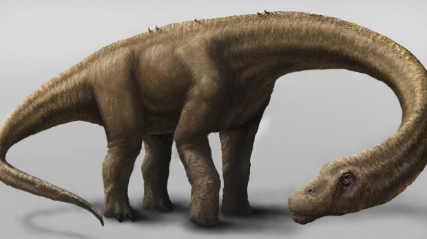 Nuevo fósil de dinosaurio hallado en Napo amplía el registro paleontológico de Ecuador
