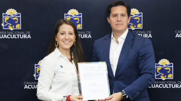 Sector camaronero impulsa plan para restaurar 250 hectáreas de manglar 