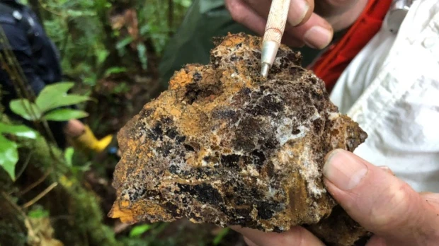 Aurania Resources suspendió sus operaciones en Ecuador