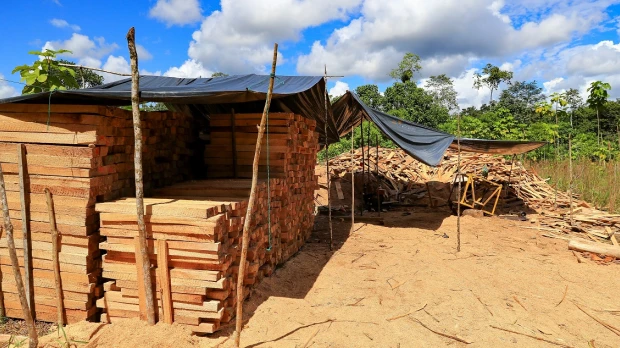 Más de 623.000 hectáreas fueron deforestadas en la Amazonía de Ecuador de 2001 a 2020 