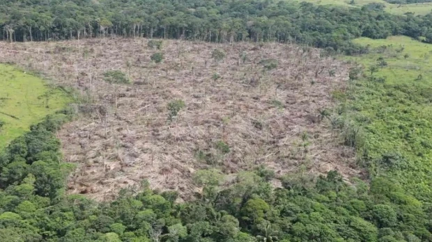 Equipo de Abelardo de la Espriella advierte aumento de la deforestación en parques naturales de Colombia
