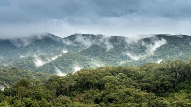 Fenómeno de El Niño podría elevar el riesgo de incendios en la Amazonía peruana