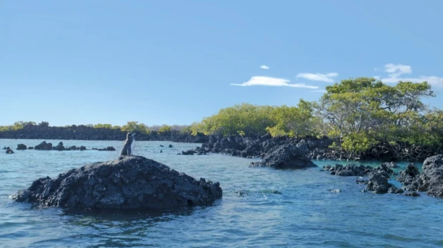 Principales noticias de Ecuador hoy - 6 de enero de 2026