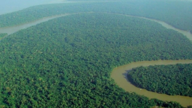 Brasil: Los grupos criminales convirtieron a la Amazonía en la región más peligrosa