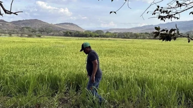 El secretario general de la organización, Haitham Al Ghais, se reunió con Fernando Santos, ministro de Energía y Mina / Foto: EFE