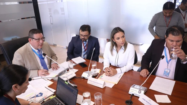 La consulta prelegislativa sobre reformas a la Ley de Minería es analizada