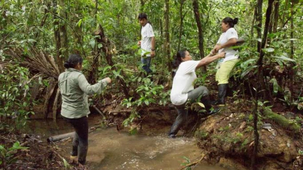 Kichwas amazónicos ayudan a proteger al jaguar usando cámaras trampa