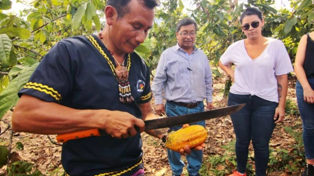Santa Rita, tierra amazónica del cacao fino de aroma
