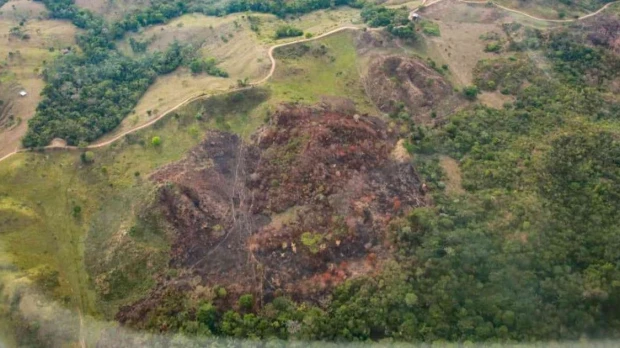 Tres parques amazónicos de Colombia perdieron casi 9.000 hectáreas de bosque en 2025