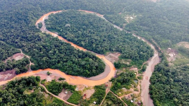 Colombia, Ecuador y Perú afrontan presión de grupos ilegales en la Amazonía fronteriza