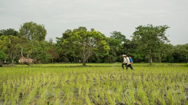 Tensión internacional eleva costos y presiona al agro ecuatoriano