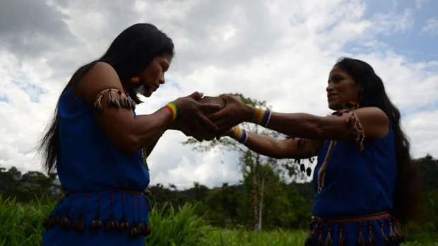 La Fiesta de la Chonta: entre una cascada, comida y baile