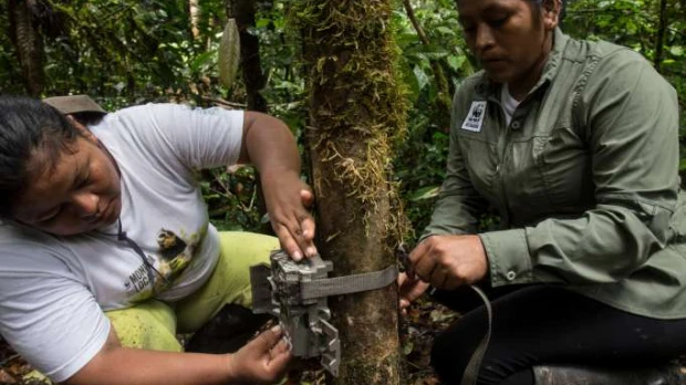 Mujeres kichwas del Cuyabeno monitorean la fauna silvestre
