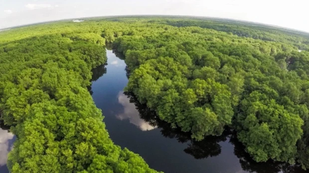 La Amazonía, otra opción de Ecuador para un canje de deuda por naturaleza