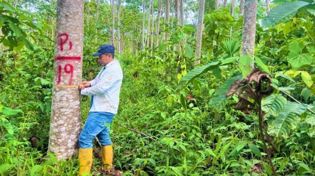 De la Amazonía a los parques eólicos el recorrido de la balsa ecuatoriana