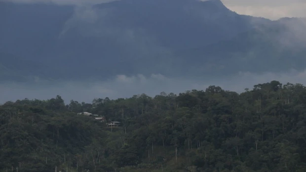 Ecuador perdió 33.000 hectáreas de bosque natural en 2025, según Global Forest Watch