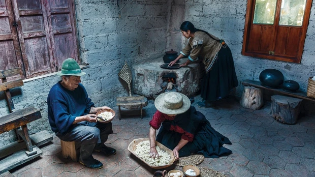 La quinua y el amaranto tienen alta calidad nutricional
