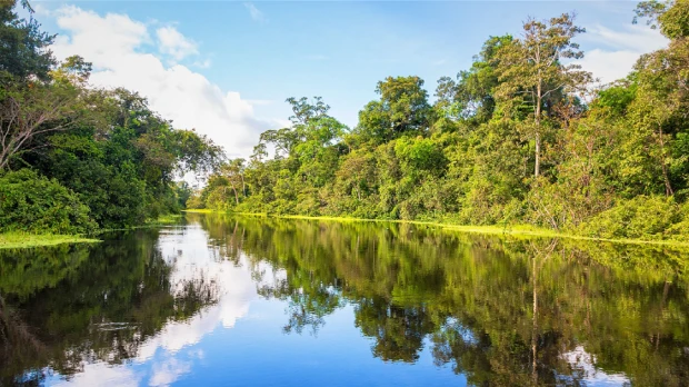 Ecuador reconoce el corredor ecológico Yasuní-Limoncocha-Cuyabeno en la Amazonía