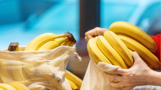 Ecuador es líder en exportaciones de banano orgánico hacia la Unión Europea