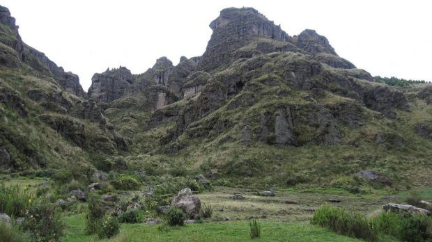 Diversidad faunística del Sangay sigue aumentando
