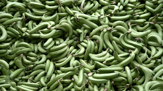Industria bananera de Latinoamérica carga contra precios bajos de cadena alemana Kaufland