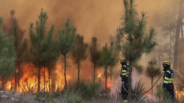 Sudamérica es cada vez más cálida, seca y con más riesgo de incendios
