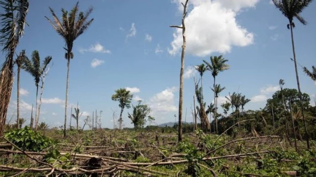 Sucúa perdió 5.400 hectáreas de cobertura arbórea entre 2001 y 2025