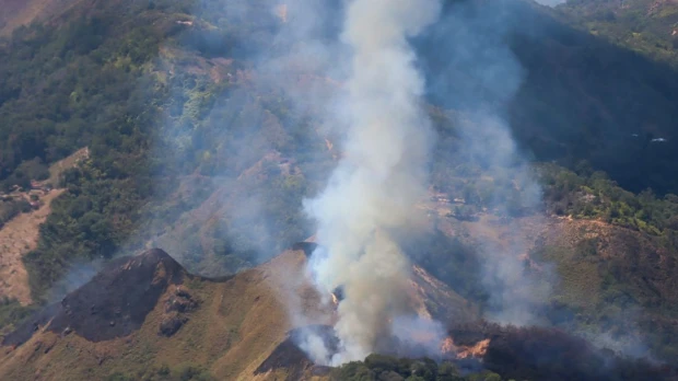 El fuego arrasa más de 19.400 hectáreas de bosques en Colombia