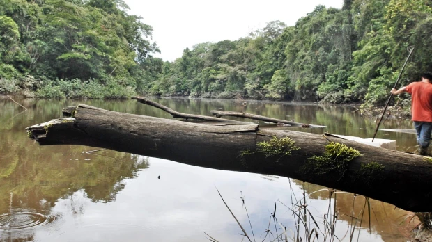 Ecuador celebrará "el mes de la biodiversidad" con foros y actos culturales