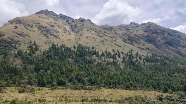 Organizaciones internacionales pidieron a DPM el cierre de Loma Larga