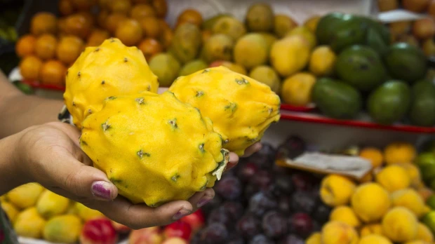 Ecuador exporta pitahaya a 56 países, tras sumar a Perú
