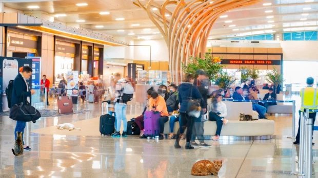 1,2 millones ecuatorianos quieren emigrar, según la OIM 