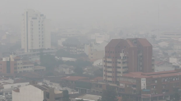 América registró incendios forestales muy intensos en 2024
