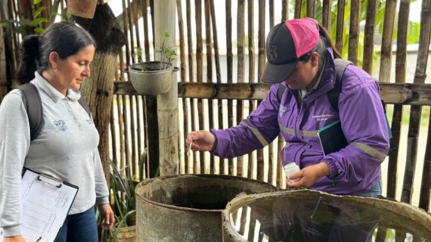 Gobierno despliega brigadas masivas para contener el dengue en Ecuador