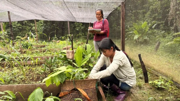 Las mujeres de Sarayaku recuperan especies perdidas de la Amazonía 