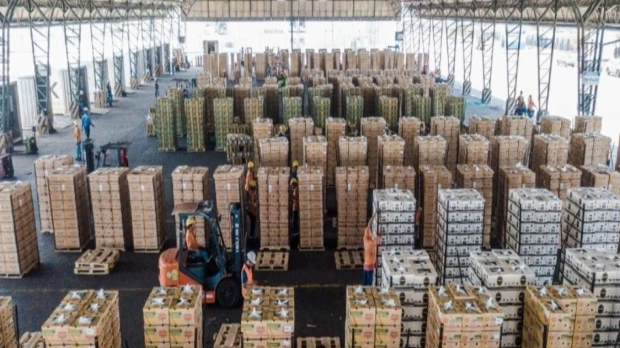 Bananeros atribuyen al narcotráfico la contaminación de cargamentos