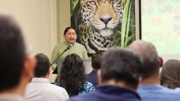 Proyecto “Paisaje Jaguar” fortalece la protección de esta especie 