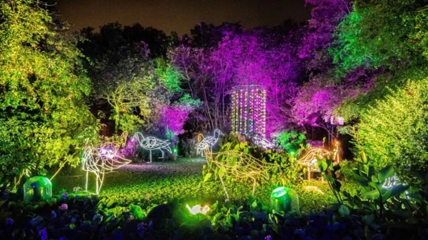 El ‘Bosque de luz’ iluminará el feriado en Quito 