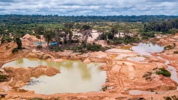 ONG estima 65.985 hectáreas afectadas por la minería ilegal en la Amazonía venezolana