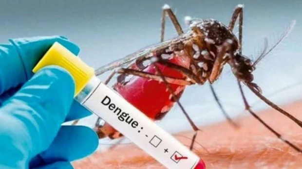 El dengue y la leptospirosis se disparan en Ecuador