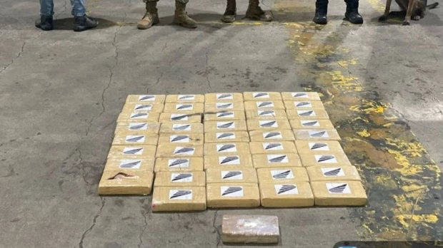 45 bloques de cocaína en contenedor que iba a Bélgica fueron incautados