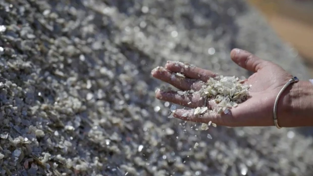 Ecuador, ante una oportunidad histórica en minerales críticos y tierras raras