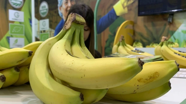Ecuador congrega a la industria bananera de Latinoamérica
