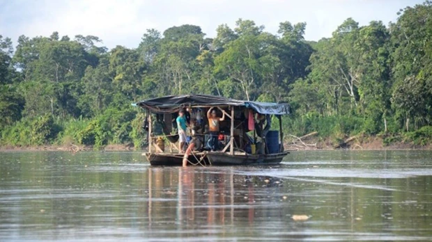 Perú: Juez condenó a 8 años de cárcel a minero ilegal en la Amazonía