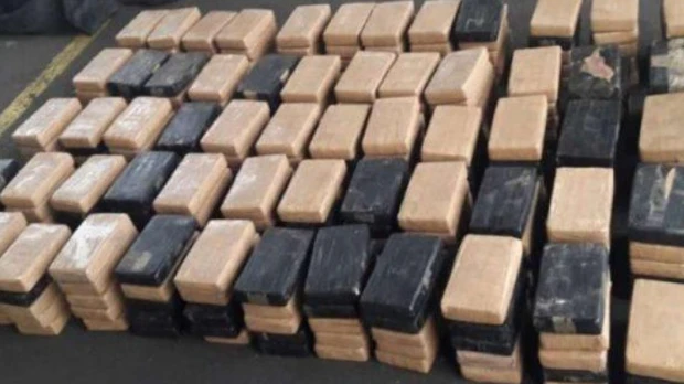 Incautan en España 100 kilos de cocaína enviada de Ecuador por una banda de colombianos