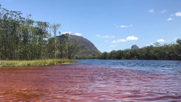 Caño San Joaquín en Guainía: el “río rojo” que se convierte en la nueva joya turística de Colombia