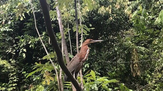 Ecuador conmemora el Día Mundial de la Biodiversidad