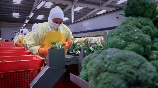 Agro apuesta por tecnología para crecer en 2026