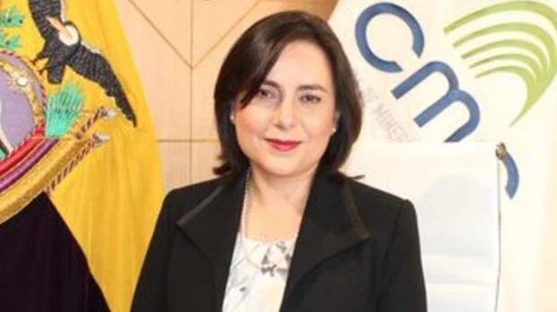 “Es necesario que el Estado vaya a un sinceramiento de todas las tarifas eléctricas” 
